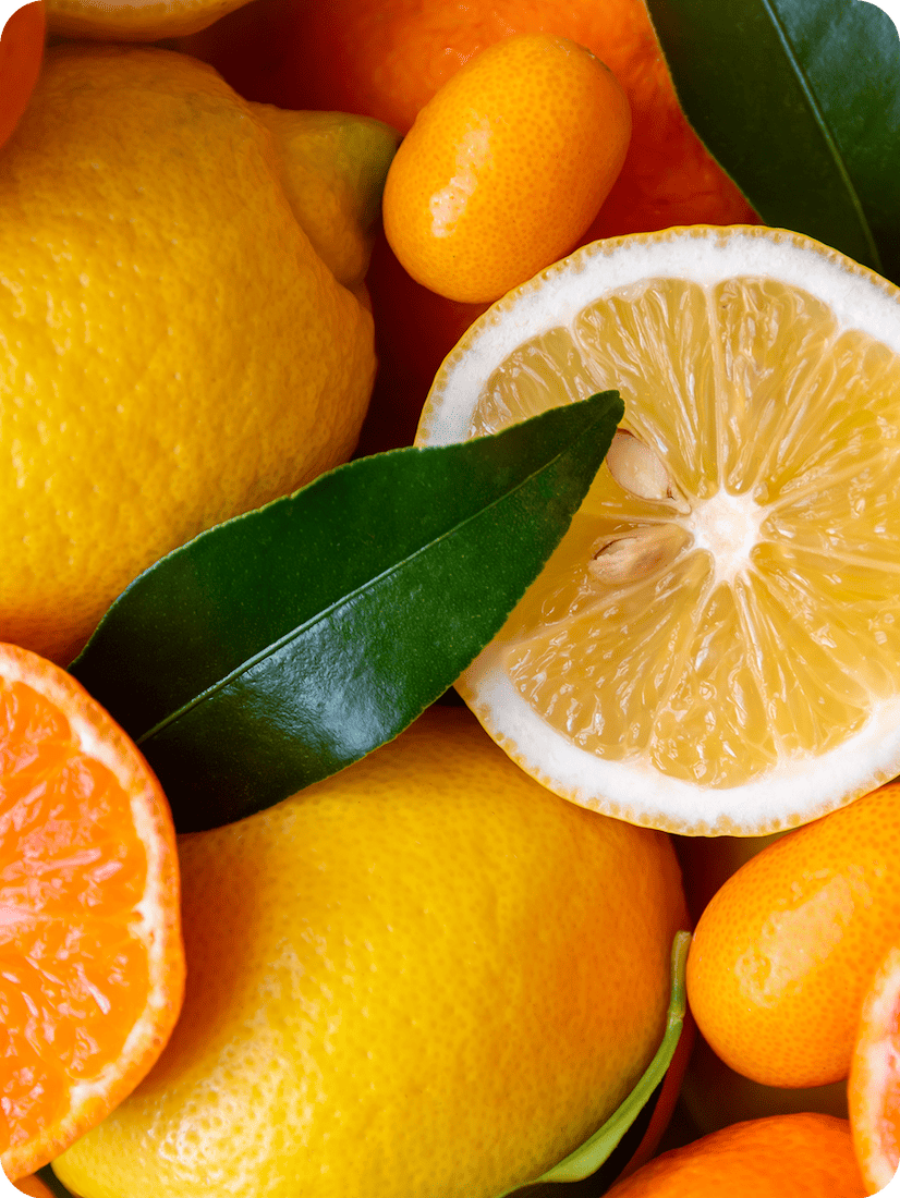 Agrumi limoni arance