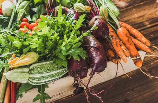 Carote ravanelli barbabietole